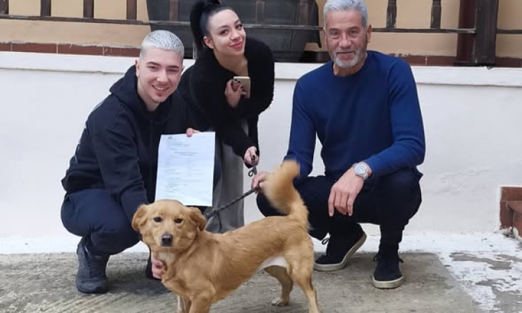 ΔΙΚΕΠΑΖ: Υιοθεσίες που σκορπίζουν χαμόγελα