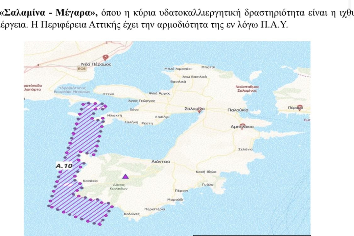 Και ιχθυοκαλλιέργειες, και αιολικά πάρκα στη Σαλαμίνα, κύριε Δήμαρχε;