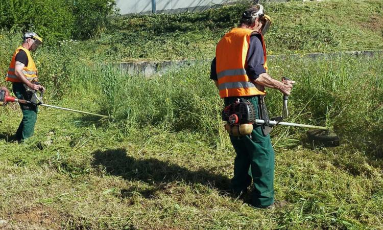 Nίκαια: Εως τις 15 Ιουνίου ο καθαρισμός των οικοπέδων ενόψει της αντιπυρικής περιόδου